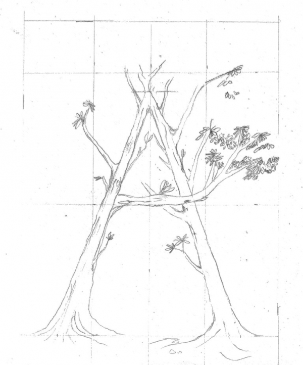 Creation of Robbin Hoods "A" practice tree: Step 2